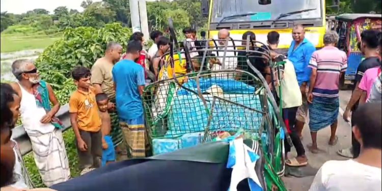 আড়াইহাজারে ট্রাক ও সিএনজির সংঘর্ষে নি/হ/ত ৪