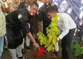 রূপগঞ্জে বৃক্ষ রোপণ কর্মসূচি করলেন সেলিম প্রধান