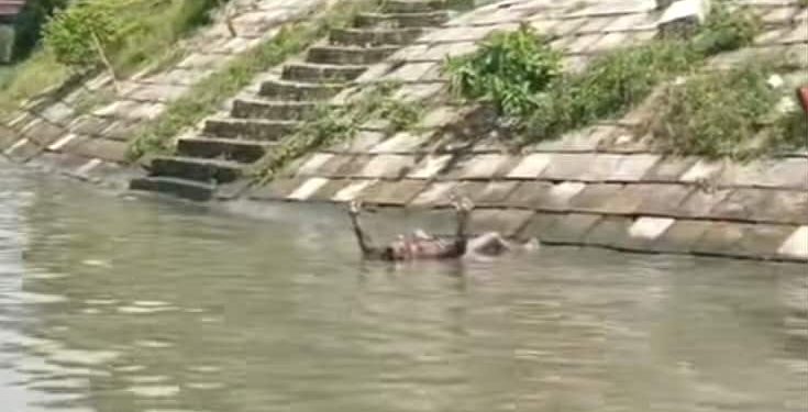 বুড়িগঙ্গা নদীতে পড়ে নিখোঁজের ৩ দিন পর মাঝি’র মরদেহ উদ্ধার 