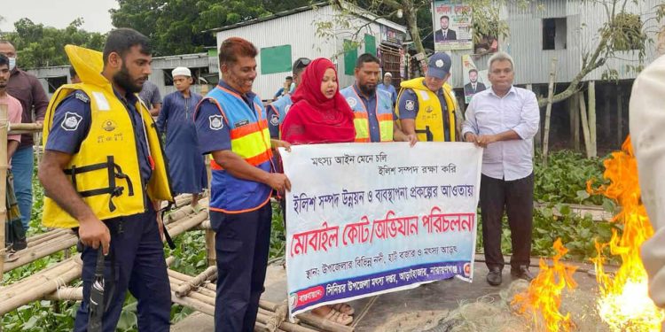 আড়াইহাজারে বিশেষ অভিযানে বিপুল পরিমাণ অবৈধ কারেন্ট জাল ও ইলিশ মাছ জব্দ