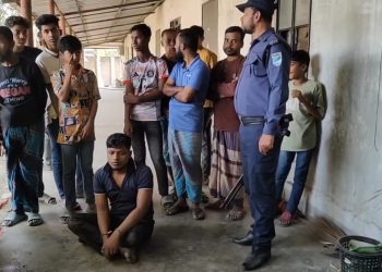 সোনারগাঁয়ে রিয়া মনি নামে গৃহবধূকে কুপিয়ে হত্যা, আটক স্বামী