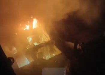 নতুন পালপাড়ায় ভয়াবহ আগুনে পুড়লো মার্কেটের ৩০ টি দোকান