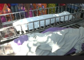 সোনারগায়ে পুকুরে পড়ে ডুবে দুই ভাইয়ের মৃত্যু 