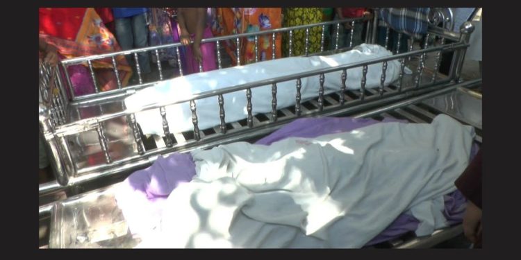 সোনারগায়ে পুকুরে পড়ে ডুবে দুই ভাইয়ের মৃত্যু 