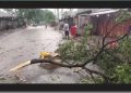 আড়াইহাজারে কালবৈশাখীর ঝড়ের বজ্রপাতে নিহত ১ ও আহত ৫