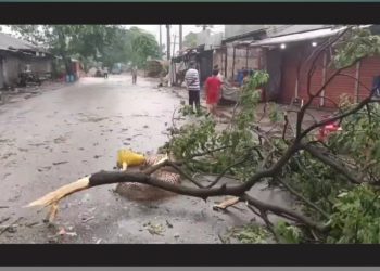 আড়াইহাজারে কালবৈশাখীর ঝড়ের বজ্রপাতে নিহত ১ ও আহত ৫