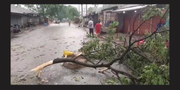 আড়াইহাজারে কালবৈশাখীর ঝড়ের বজ্রপাতে নিহত ১ ও আহত ৫