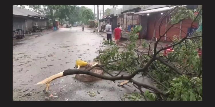 আড়াইহাজারে কালবৈশাখীর ঝড়ের বজ্রপাতে নিহত ১ ও আহত ৫