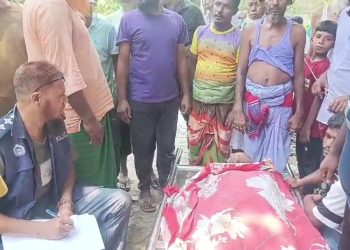 বন্দরে বিদ্যুৎস্পৃষ্টে যুবকের মৃত্যু