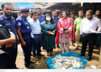 ভ্রাম্যমান আদালতের অভিযানে মা ইলিশ ও পিরানহা মাছ জব্দ