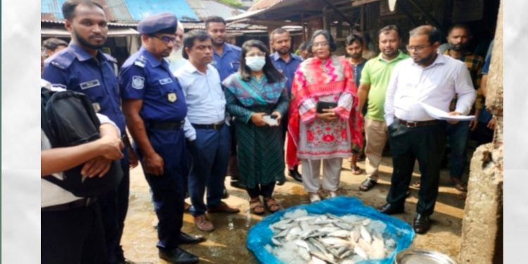 ভ্রাম্যমান আদালতের অভিযানে মা ইলিশ ও পিরানহা মাছ জব্দ